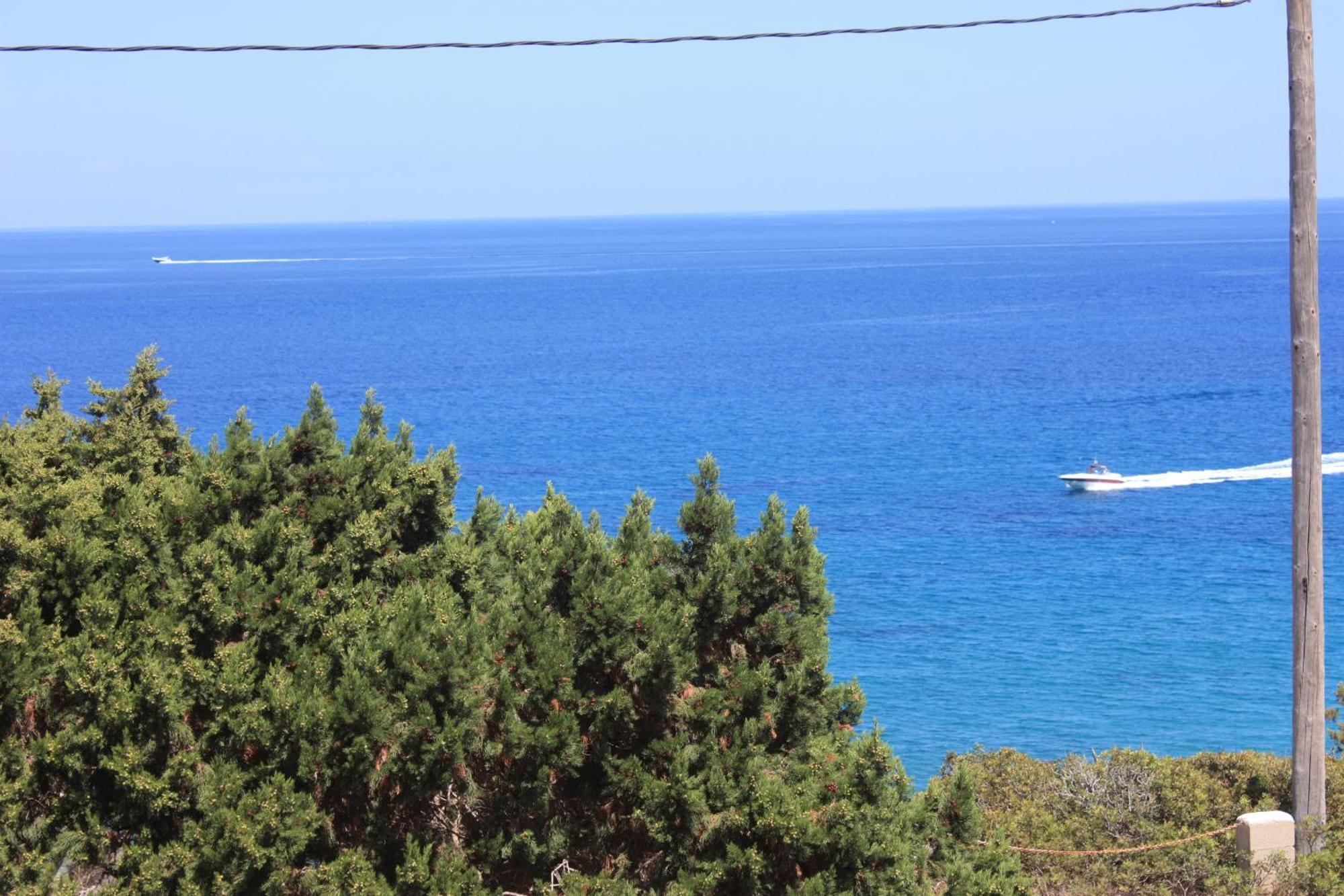 Playa Des FigueralArenal D'Orアパートメント 部屋 写真