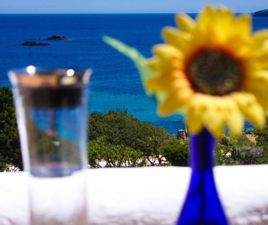 Playa Des FigueralArenal D'Orアパートメント 部屋 写真
