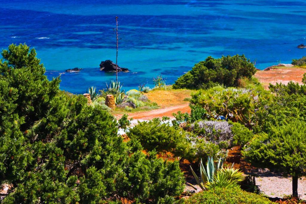 Playa Des FigueralArenal D'Orアパートメント 部屋 写真