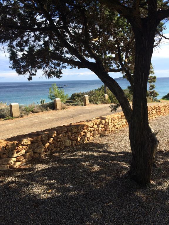 Playa Des FigueralArenal D'Orアパートメント エクステリア 写真